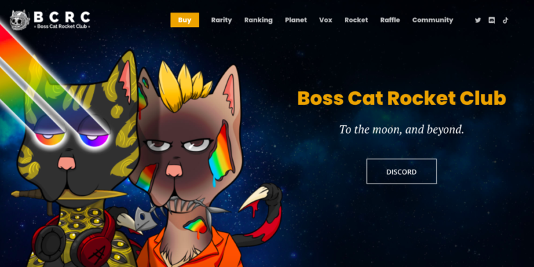 Boss Cat Rocket club