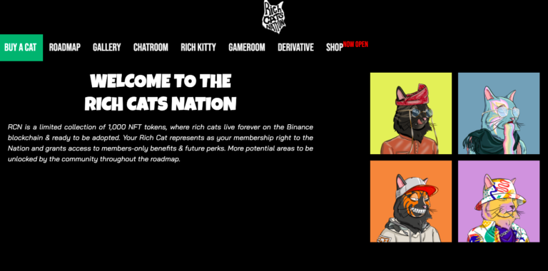 Rich Cats Nation