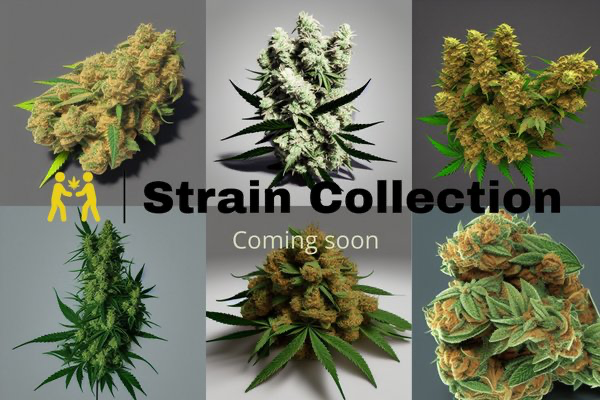 Strain Collection