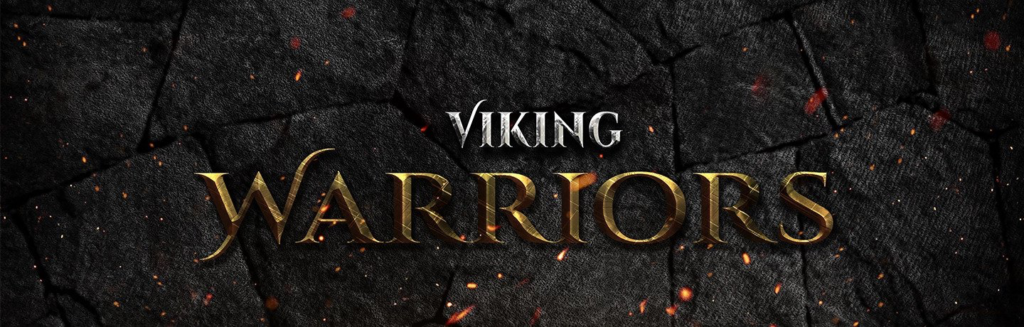 Vikingwarriors