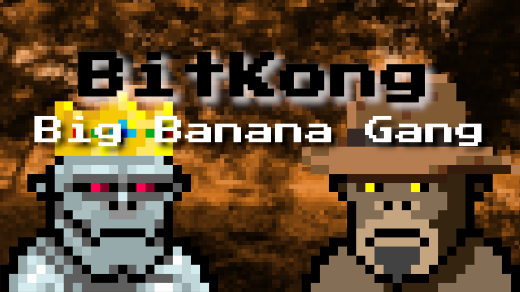 Bit-Kong