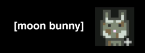 [moon bunny] Launch